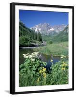 Wildflowers, Maroon Bells, CO-David Carriere-Framed Premium Photographic Print