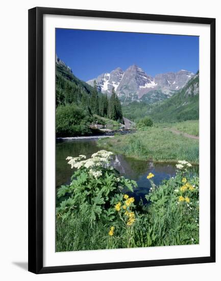 Wildflowers, Maroon Bells, CO-David Carriere-Framed Premium Photographic Print