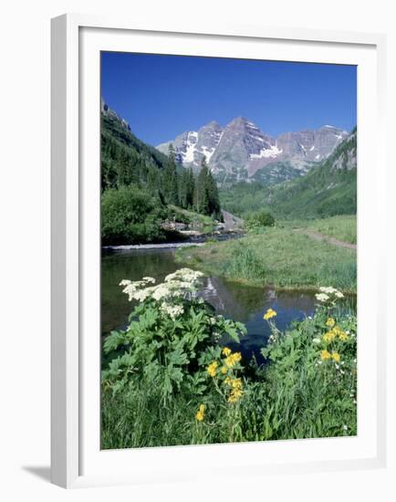 Wildflowers, Maroon Bells, CO-David Carriere-Framed Premium Photographic Print