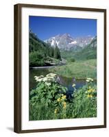 Wildflowers, Maroon Bells, CO-David Carriere-Framed Premium Photographic Print