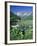 Wildflowers, Maroon Bells, CO-David Carriere-Framed Premium Photographic Print