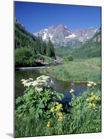 Wildflowers, Maroon Bells, CO-David Carriere-Mounted Premium Photographic Print