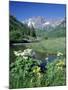 Wildflowers, Maroon Bells, CO-David Carriere-Mounted Premium Photographic Print