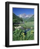 Wildflowers, Maroon Bells, CO-David Carriere-Framed Photographic Print