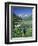 Wildflowers, Maroon Bells, CO-David Carriere-Framed Photographic Print