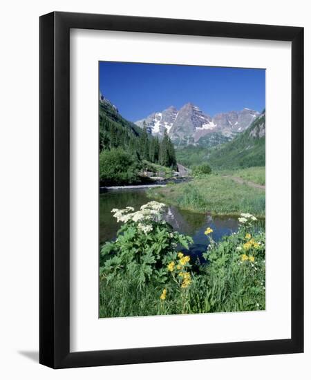 Wildflowers, Maroon Bells, CO-David Carriere-Framed Photographic Print