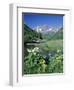 Wildflowers, Maroon Bells, CO-David Carriere-Framed Photographic Print