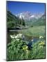 Wildflowers, Maroon Bells, CO-David Carriere-Mounted Photographic Print