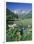 Wildflowers, Maroon Bells, CO-David Carriere-Framed Photographic Print