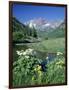 Wildflowers, Maroon Bells, CO-David Carriere-Framed Photographic Print