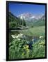 Wildflowers, Maroon Bells, CO-David Carriere-Framed Photographic Print