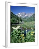 Wildflowers, Maroon Bells, CO-David Carriere-Framed Photographic Print