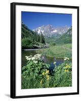 Wildflowers, Maroon Bells, CO-David Carriere-Framed Photographic Print