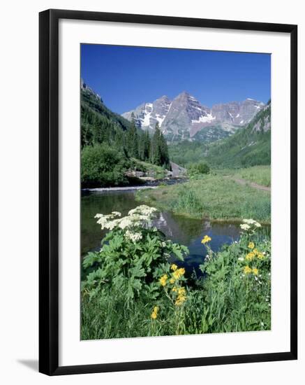 Wildflowers, Maroon Bells, CO-David Carriere-Framed Photographic Print