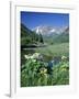 Wildflowers, Maroon Bells, CO-David Carriere-Framed Photographic Print