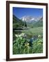 Wildflowers, Maroon Bells, CO-David Carriere-Framed Photographic Print