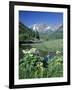 Wildflowers, Maroon Bells, CO-David Carriere-Framed Photographic Print