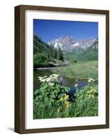 Wildflowers, Maroon Bells, CO-David Carriere-Framed Photographic Print