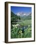 Wildflowers, Maroon Bells, CO-David Carriere-Framed Photographic Print