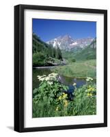 Wildflowers, Maroon Bells, CO-David Carriere-Framed Photographic Print