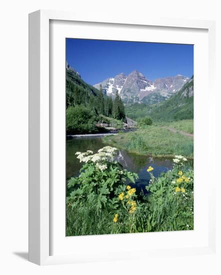 Wildflowers, Maroon Bells, CO-David Carriere-Framed Photographic Print