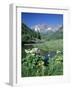 Wildflowers, Maroon Bells, CO-David Carriere-Framed Photographic Print