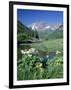 Wildflowers, Maroon Bells, CO-David Carriere-Framed Photographic Print