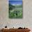 Wildflowers, Maroon Bells, CO-David Carriere-Photographic Print displayed on a wall