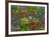 Wildflowers, Mount Timpanogos, Uintah-Wasatch-Cache Nf, Utah-Howie Garber-Framed Photographic Print