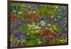 Wildflowers, Mount Timpanogos, Uintah-Wasatch-Cache Nf, Utah-Howie Garber-Framed Photographic Print