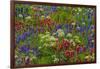 Wildflowers, Mount Timpanogos, Uintah-Wasatch-Cache Nf, Utah-Howie Garber-Framed Photographic Print