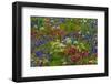 Wildflowers, Mount Timpanogos, Uintah-Wasatch-Cache Nf, Utah-Howie Garber-Framed Photographic Print