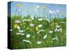 Wildflowers of Finland-Herb Dickinson-Stretched Canvas