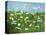 Wildflowers of Finland-Herb Dickinson-Stretched Canvas