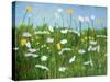 Wildflowers of Finland-Herb Dickinson-Stretched Canvas