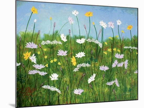 Wildflowers of Finland-Herb Dickinson-Mounted Photographic Print