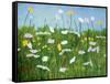 Wildflowers of Finland-Herb Dickinson-Framed Stretched Canvas