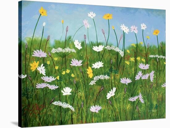 Wildflowers of Finland-Herb Dickinson-Stretched Canvas