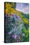 Wildflowers of Oakland in Spring-null-Stretched Canvas