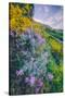 Wildflowers of Oakland in Spring-null-Stretched Canvas