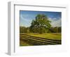 Wildflowers of Paintbrush and Blue Bonnets, Gay Hill Area, Texas, USA-Darrell Gulin-Framed Photographic Print