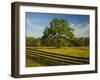 Wildflowers of Paintbrush and Blue Bonnets, Gay Hill Area, Texas, USA-Darrell Gulin-Framed Photographic Print