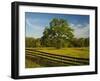 Wildflowers of Paintbrush and Blue Bonnets, Gay Hill Area, Texas, USA-Darrell Gulin-Framed Photographic Print