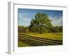 Wildflowers of Paintbrush and Blue Bonnets, Gay Hill Area, Texas, USA-Darrell Gulin-Framed Photographic Print