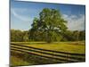 Wildflowers of Paintbrush and Blue Bonnets, Gay Hill Area, Texas, USA-Darrell Gulin-Mounted Photographic Print