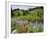 Wildflowers on Meadows, Mount Rainier National Park, Washington, USA-Tom Norring-Framed Photographic Print