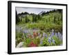 Wildflowers on Meadows, Mount Rainier National Park, Washington, USA-Tom Norring-Framed Photographic Print