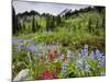 Wildflowers on Meadows, Mount Rainier National Park, Washington, USA-Tom Norring-Mounted Photographic Print