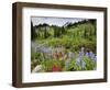 Wildflowers on Meadows, Mount Rainier National Park, Washington, USA-Tom Norring-Framed Photographic Print