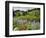 Wildflowers on Meadows, Mount Rainier National Park, Washington, USA-Tom Norring-Framed Photographic Print